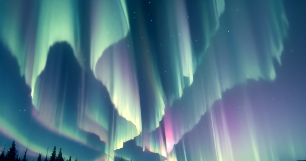 ⭐️⭐️今日も1日お疲れ様です⭐️⭐️