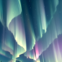 ⭐️⭐️今日も1日お疲れ様です⭐️⭐️