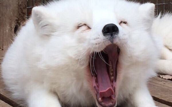 ⭐️⭐️おはようございます⭐️⭐️