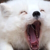 ⭐️⭐️おはようございます⭐️⭐️