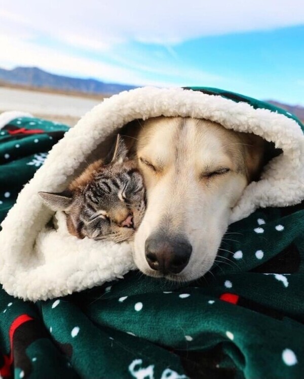 おやすみなさい😴