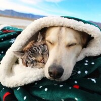 おやすみなさい😴