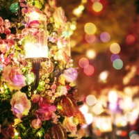 12月も宜しくお願い致します🙇✨