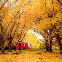 🍁🍁出勤しました🍁🍁