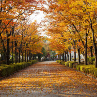 🍁🍁出勤しました🍁🍁