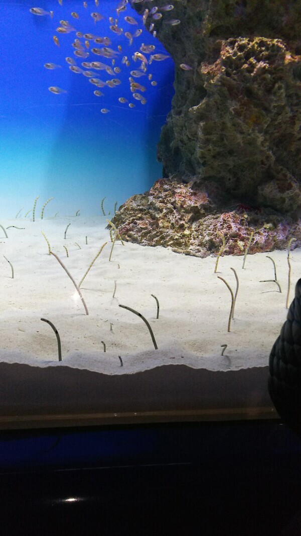 出勤しました☀