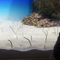 出勤しました☀