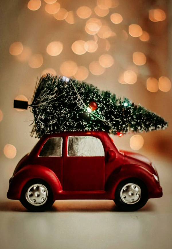 お疲れさまです✨