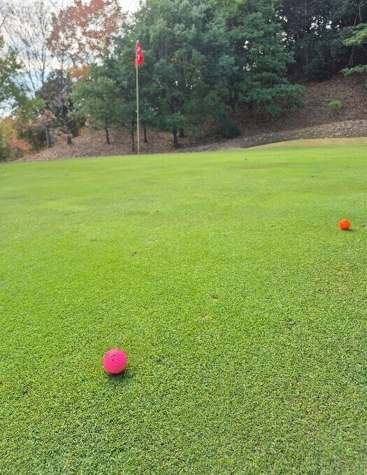 ✨🪷月曜日🪷✨