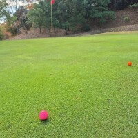 ✨🪷月曜日🪷✨