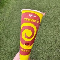 １７アイス🍦