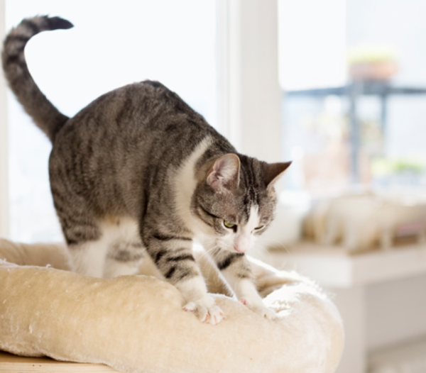 出勤しました🐾