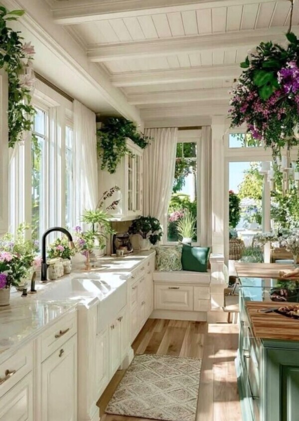 ✨🪷火曜日🪷✨