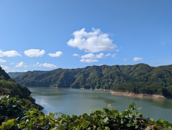 本日夕方から出勤です🐾