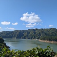 本日夕方から出勤です🐾