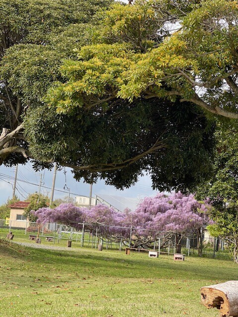 お疲れ様です🥰