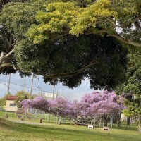 お疲れ様です🥰