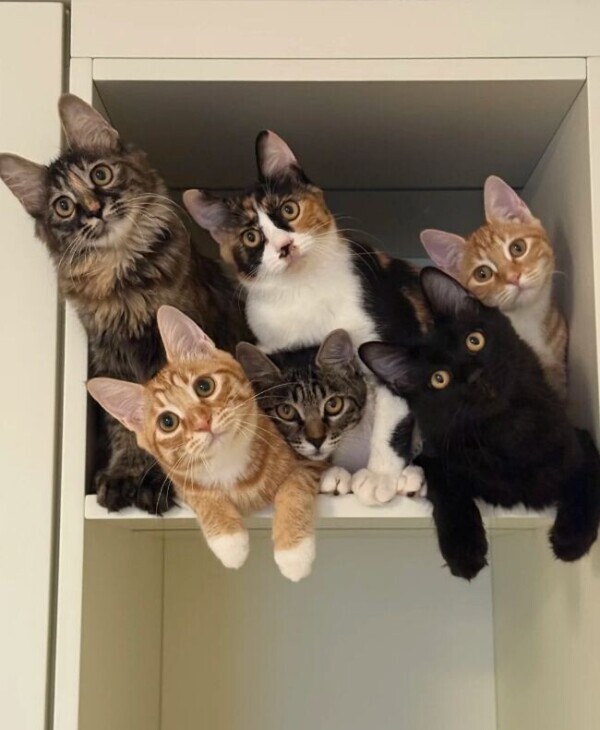 出勤しました🌃　　