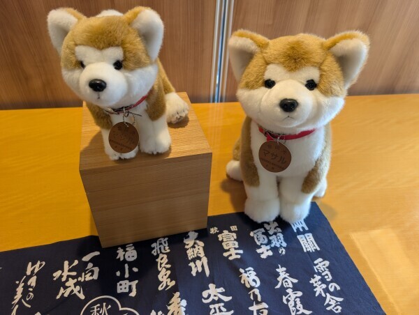 明日夕方より出勤です🐾