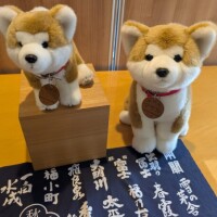 明日夕方より出勤です🐾