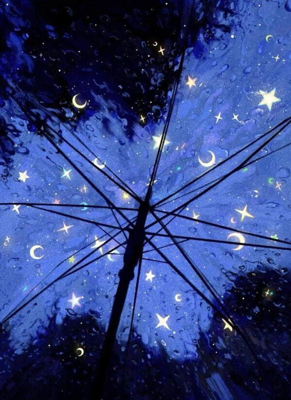 ありがとうございました🐢