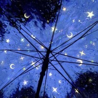 ありがとうございました🐢