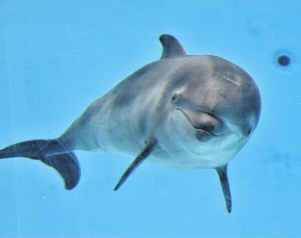 🍀🍀おはようございます🍀🍀