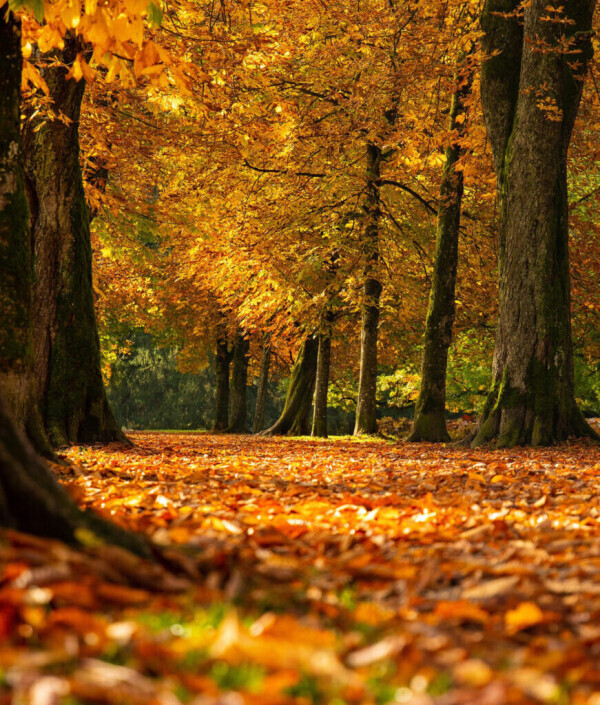 おはようございます☀