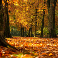 おはようございます☀