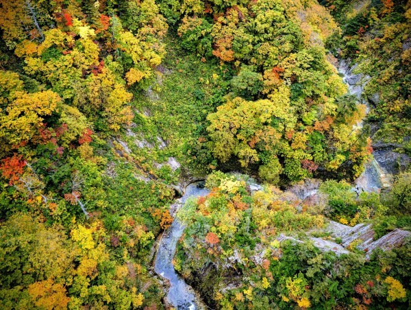 本日夕方から出勤です🐾