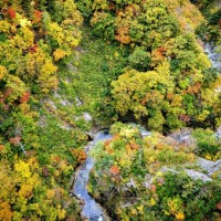 本日夕方から出勤です🐾