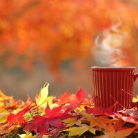 🍁🍁本日遅くまでお待ちしております🍁🍁