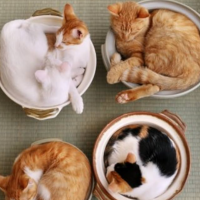 出勤しました🐾