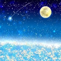 ⭐️⭐️🌕今日は満月🌕⭐️⭐️