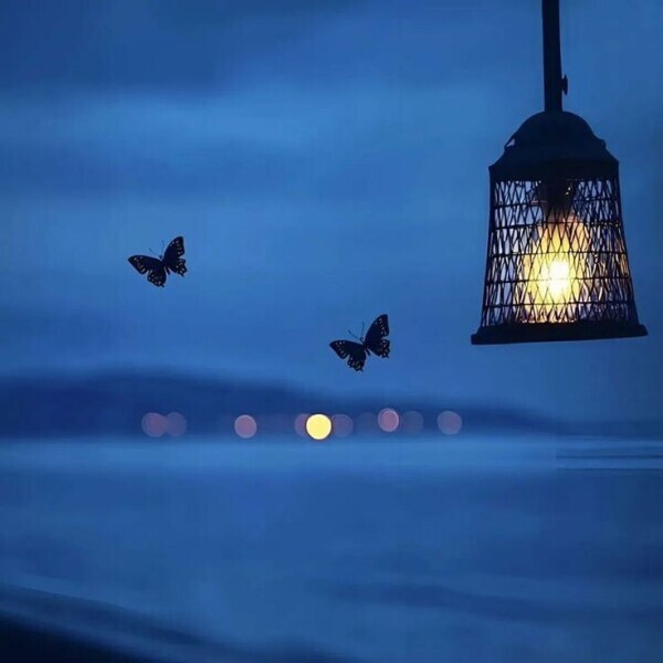 ありがとうございました🍭