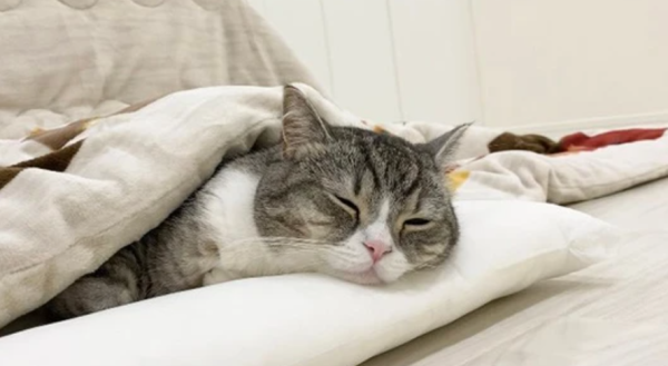 本日夕方から出勤です🐾