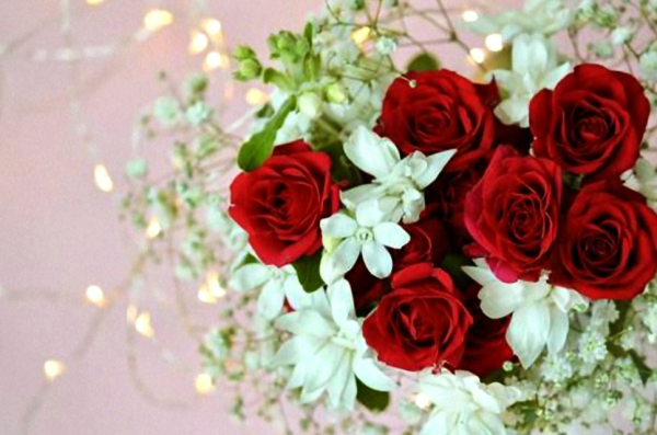 午後も良いお時間を✨