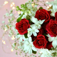 午後も良いお時間を✨