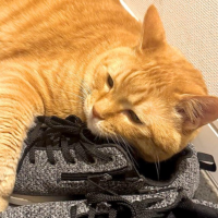 出勤しました🐾