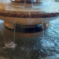 癒される(*´ω`*)