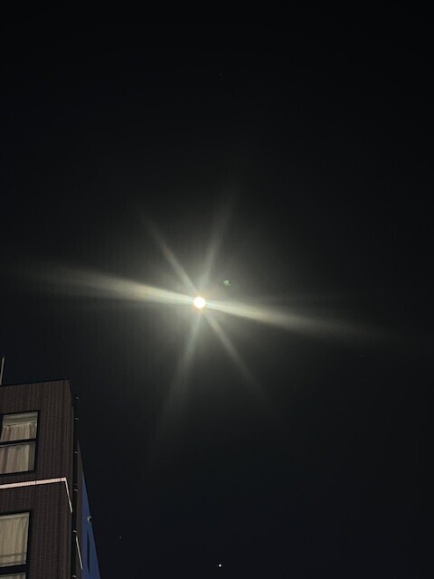 満月と1日目のお月様🌕