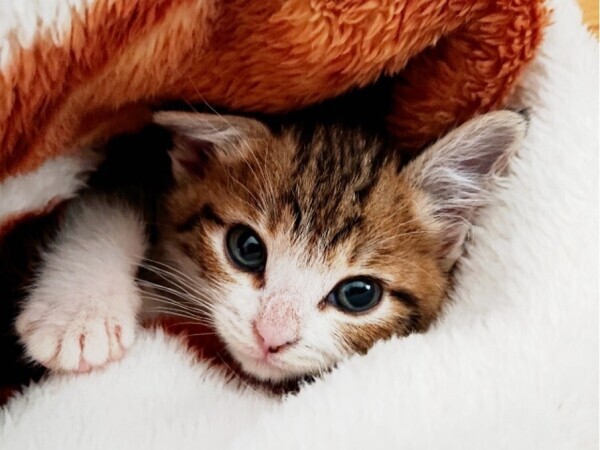 🍁🍁おはようございます🍁🍁