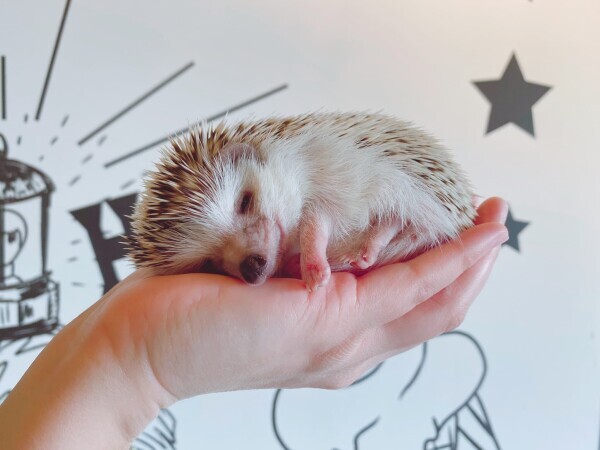 🍀🍀おはようございます🍀🍀