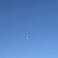 連日車で寝ている…