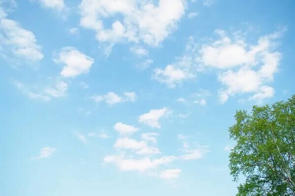 おはようございまーーす☺️☀️