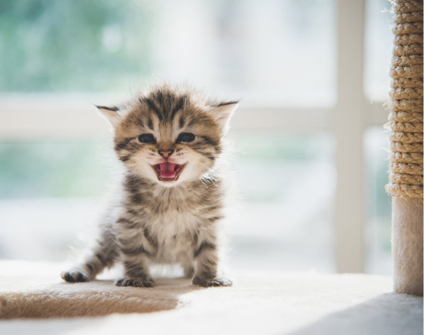 次回9日（火）夕方からです