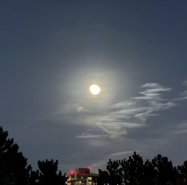 ラストまでです❣️