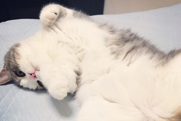 🍀🍀おはようございます🍀🍀