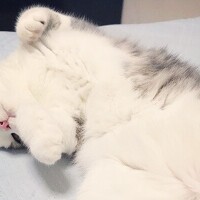 🍀🍀おはようございます🍀🍀