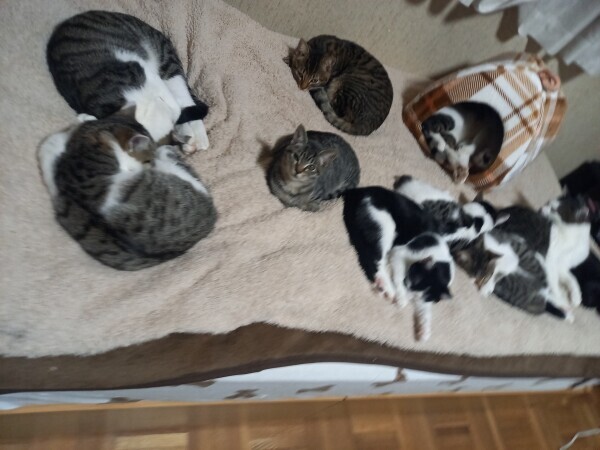 本日お休みです😃